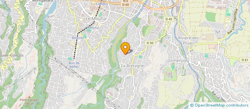 localisation de l'entreprise MONSIEUR ROMAIN COJAN  SAINT-DENIS