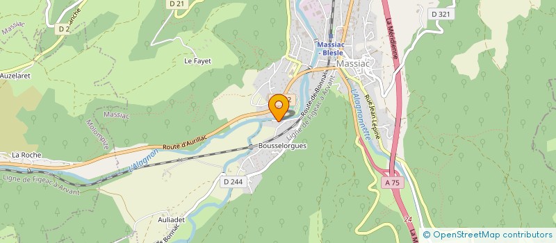localisation de l'entreprise MONSIEUR ROMAIN COMBES à MASSIAC