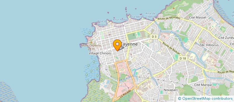 localisation de l'entreprise MONSIEUR ROMAIN DA SILVA ALMEIDA  CAYENNE