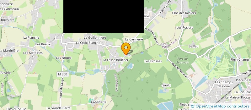 localisation de l'entreprise MONSIEUR ROMAIN DE SOUSA  SAVONNIERES