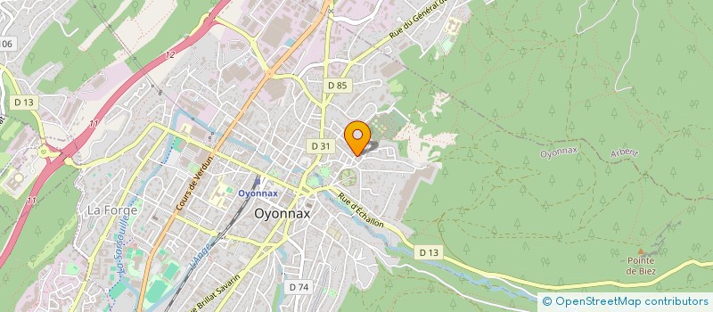 localisation de l'entreprise MONSIEUR ROMAIN DEDENIS à OYONNAX