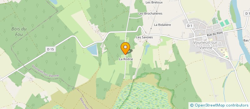 localisation de l'entreprise MONSIEUR ROMAIN DELION  VOUNEUIL-SUR-VIENNE