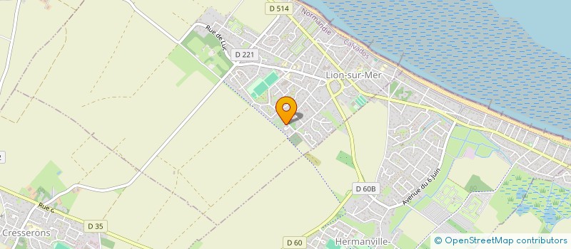 localisation de l'entreprise MONSIEUR ROMAIN DONNE  LION-SUR-MER