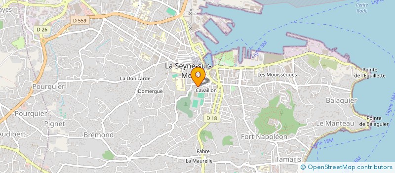 localisation de l'entreprise MONSIEUR ROMAIN DUBORDEAUX à LA SEYNE-SUR-MER
