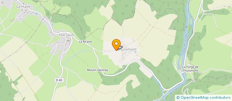 localisation de l'entreprise MONSIEUR ROMAIN DUGRAVOT  LA VOGE-LES-BAINS