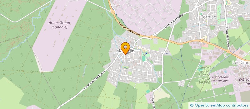 localisation de l'entreprise MONSIEUR ROMAIN FAGET  SAINT-MEDARD-EN-JALLES