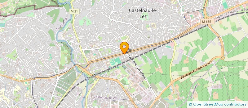 localisation de l'entreprise MONSIEUR ROMAIN FRIGOUL à CASTELNAU-LE-LEZ