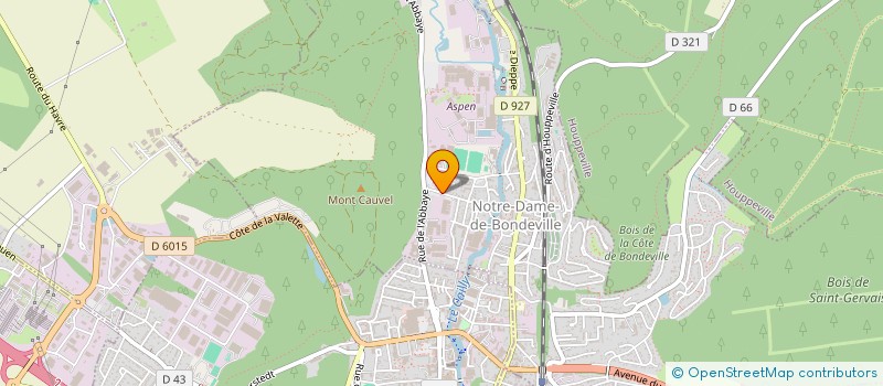 localisation de l'entreprise MONSIEUR ROMAIN GAUDUCHON  NOTRE-DAME-DE-BONDEVILLE