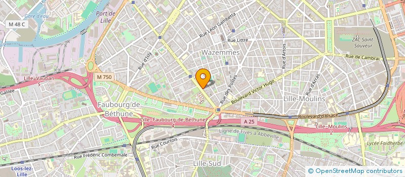 localisation de l'entreprise MONSIEUR ROMAIN GIBELIN à LILLE