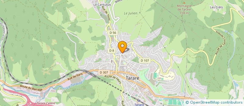 localisation de l'entreprise MONSIEUR ROMAIN GIRARD  TARARE