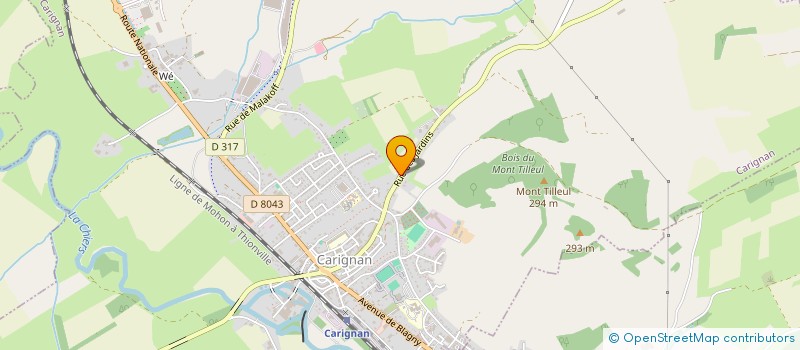 localisation de l'entreprise MONSIEUR ROMAIN GODIN  CARIGNAN