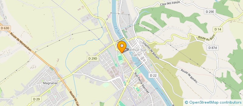 localisation de l'entreprise MONSIEUR ROMAIN GORI  VILLEMUR-SUR-TARN