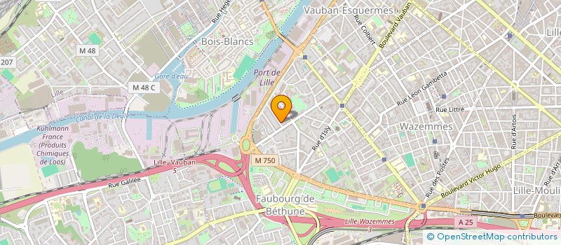 localisation de l'entreprise MONSIEUR ROMAIN LHOEST à LILLE