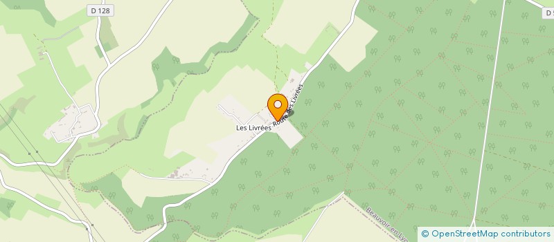 localisation de l'entreprise MONSIEUR ROMAIN LINANT  BEAUVOIR-EN-LYONS