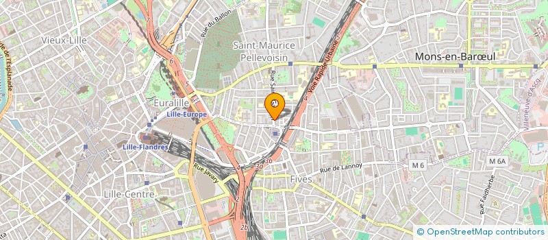 localisation de l'entreprise MONSIEUR ROMAIN MATHIS  LILLE