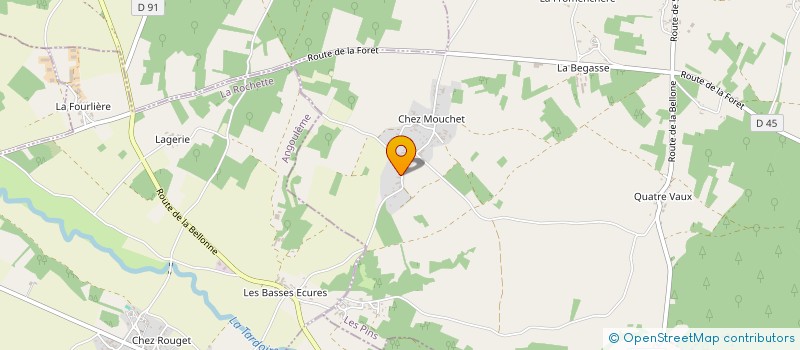 localisation de l'entreprise MONSIEUR ROMAIN MOUCHEROUD à LES PINS