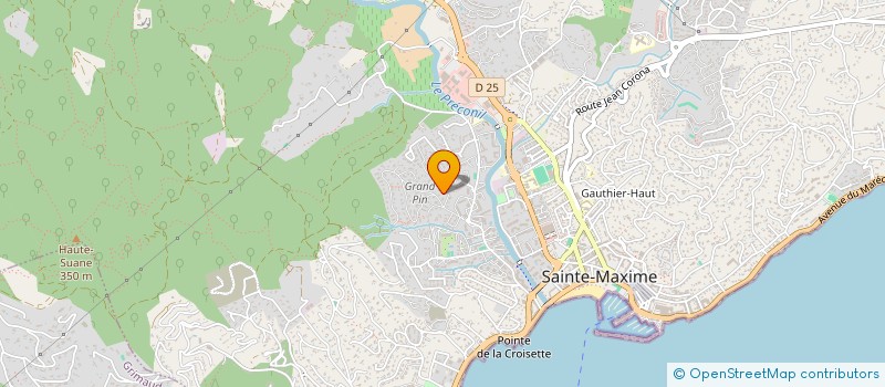 localisation de l'entreprise MONSIEUR ROMAIN MOUSSOUYAN à SAINTE-MAXIME