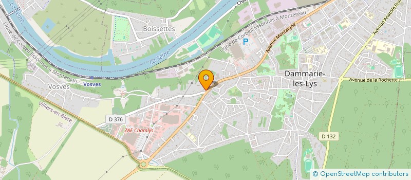 localisation de l'entreprise MONSIEUR ROMAIN NIEL  DAMMARIE-LES-LYS