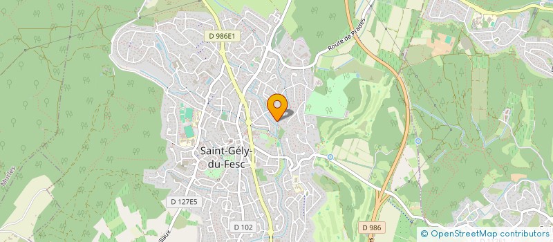 localisation de l'entreprise MONSIEUR ROMAIN PAULUS  SAINT-HIPPOLYTE-DU-FORT