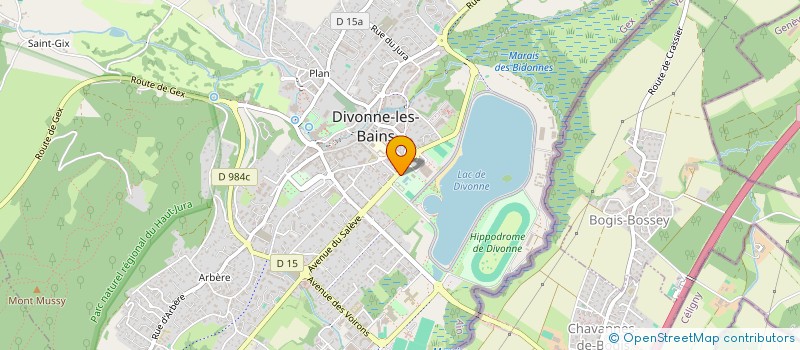 localisation de l'entreprise MONSIEUR ROMAIN ROUANET  DIVONNE-LES-BAINS
