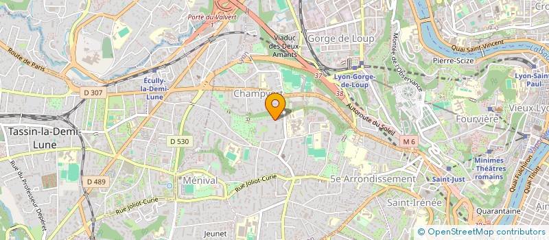 localisation de l'entreprise MONSIEUR ROMAIN SAAL à LYON