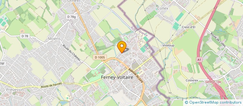 localisation de l'entreprise MONSIEUR ROMAIN SAVIN à FERNEY-VOLTAIRE