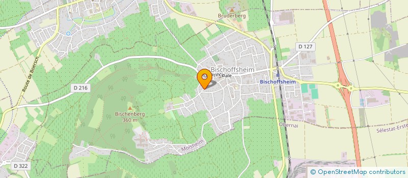 localisation de l'entreprise MONSIEUR ROMAIN SAVINO à BISCHOFFSHEIM