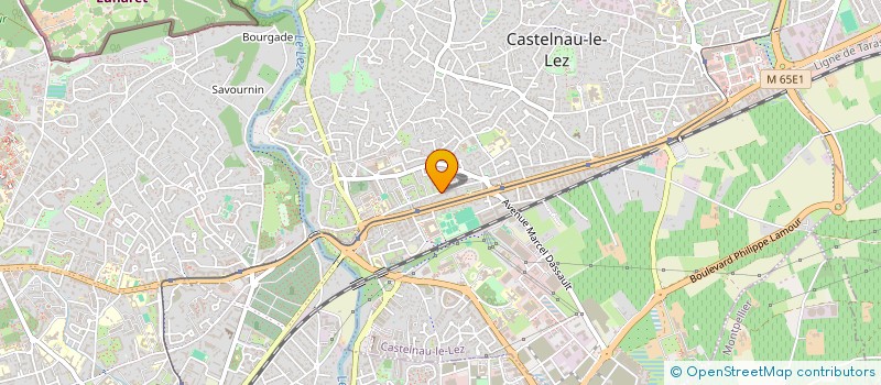 localisation de l'entreprise MONSIEUR ROMAIN SUAREZ à CASTELNAU-LE-LEZ