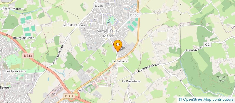 localisation de l'entreprise MONSIEUR ROMAIN THIERRY  SARGE-LES-LE-MANS