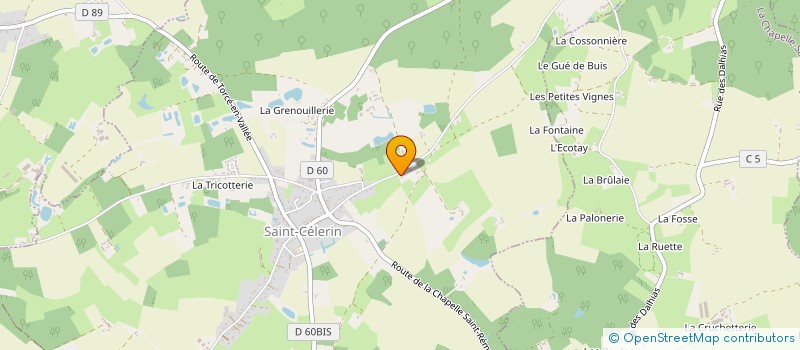 localisation de l'entreprise MONSIEUR ROMAIN TRONCHET  SAINT-CELERIN