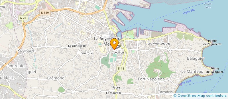 localisation de l'entreprise MONSIEUR ROMAIN TURCAN à LA SEYNE-SUR-MER