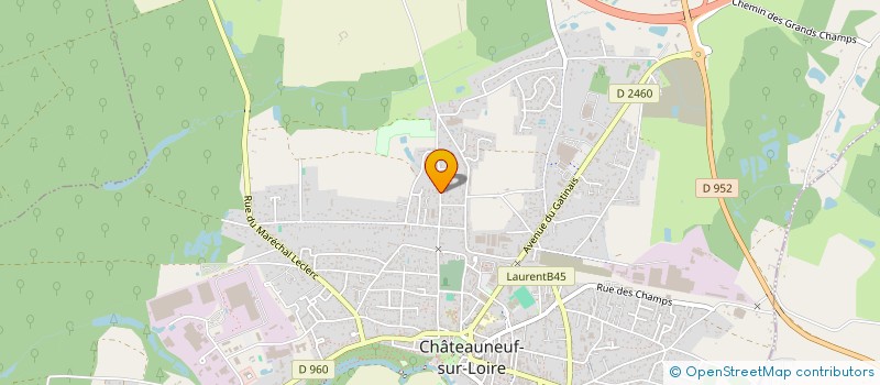 localisation de l'entreprise MONSIEUR ROMAIN WEREY à CHATEAUNEUF-SUR-LOIRE