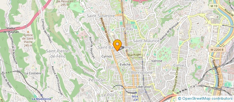 localisation de l'entreprise MONSIEUR ROMAN BERCIUC à CAGNES-SUR-MER