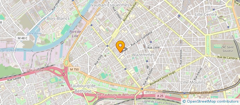localisation de l'entreprise MONSIEUR ROMAN BOISGERAULT à LILLE