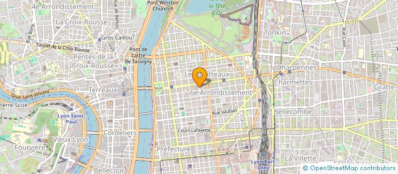 localisation de l'entreprise MONSIEUR ROMAN DANIELIAN  LYON