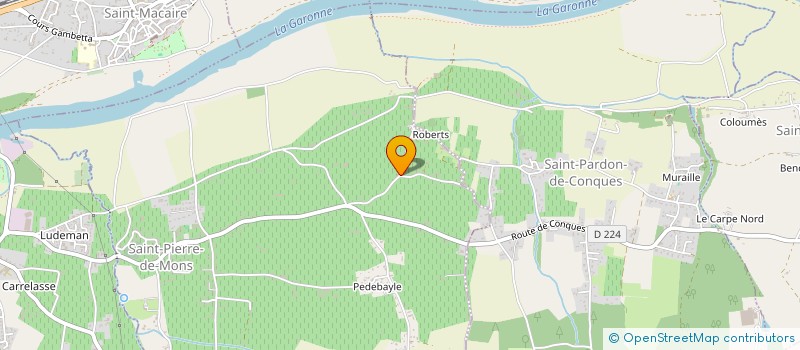 localisation de l'entreprise MONSIEUR ROMAN DE PONTAC à SAINT-PIERRE-DE-MONS