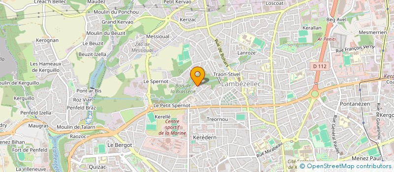 localisation de l'entreprise MONSIEUR ROMAN GROTA à BREST