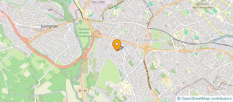 localisation de l'entreprise MONSIEUR ROMAN ROZOV à MONTPELLIER