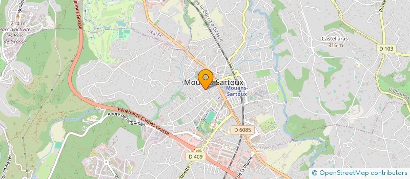 localisation de l'entreprise MONSIEUR ROMAN SICART à MOUANS-SARTOUX