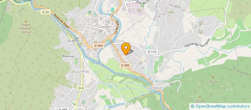 localisation de l'entreprise MONSIEUR ROMAN TOCHE  LAROQUE