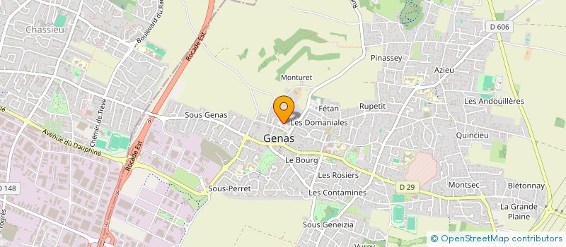 localisation de l'entreprise MONSIEUR ROMEO BRAYARD  GENAS