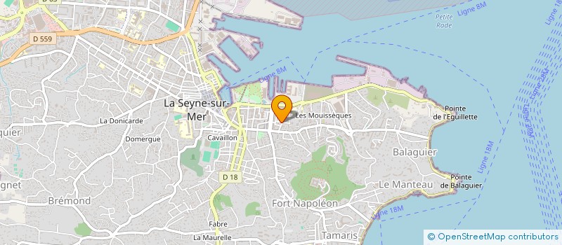 localisation de l'entreprise MONSIEUR ROMUALD PIQUEMAL  LA SEYNE-SUR-MER