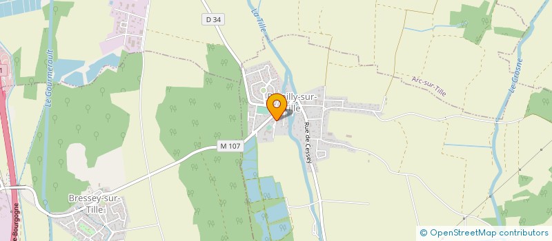 localisation de l'entreprise MONSIEUR ROMUALD ROSSI  REMILLY-SUR-TILLE