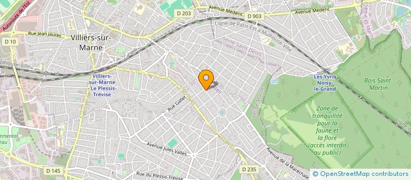 localisation de l'entreprise MONSIEUR ROMULE FLAMBEAU  LE PLESSIS-TREVISE