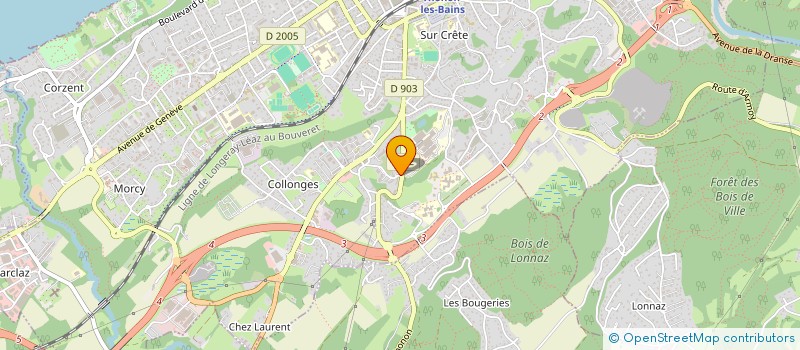 localisation de l'entreprise MONSIEUR ROMULUS DRAGOI à THONON-LES-BAINS