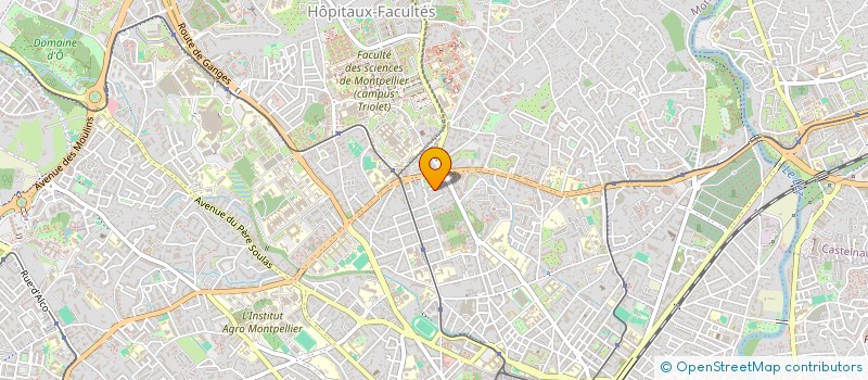 localisation de l'entreprise MONSIEUR RONALD CANCELA SIFONTES à MONTPELLIER