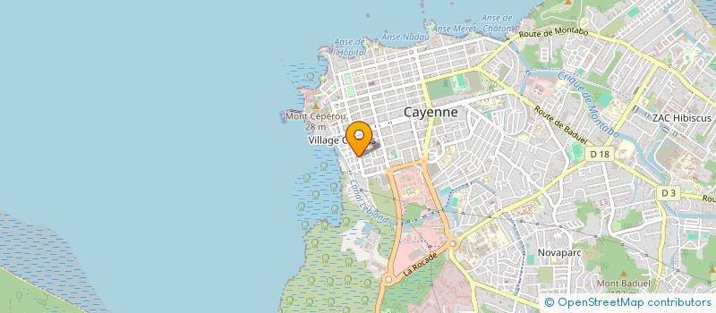 localisation de l'entreprise MONSIEUR RONGFU LI  CAYENNE