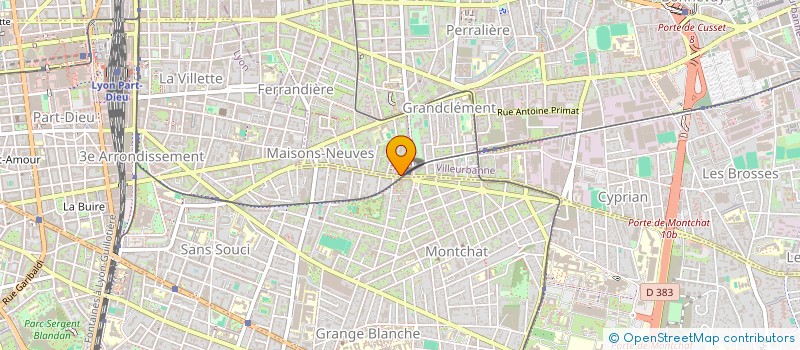 localisation de l'entreprise MONSIEUR RONI HMAYMESS  VILLEURBANNE