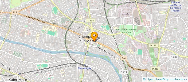 localisation de l'entreprise MONSIEUR RONILDO PESSOA DA SILVA à CHAMPIGNY-SUR-MARNE