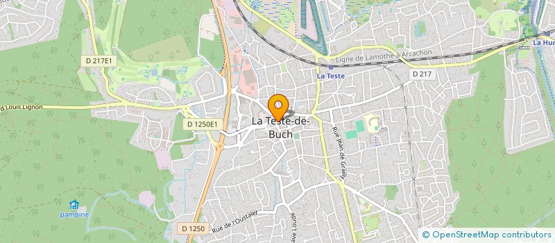 localisation de l'entreprise MONSIEUR RONNY PATERSON RIGO à LA TESTE-DE-BUCH